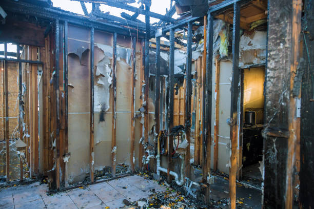 Professional Smoke Damage Removal technician working in Salina, OK